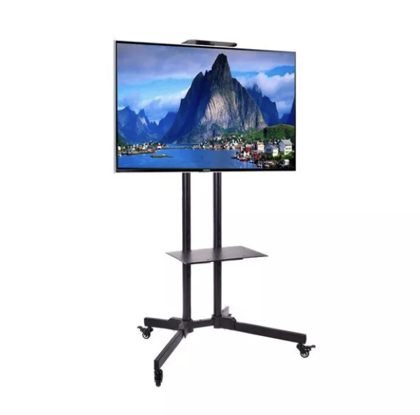 tv with stand